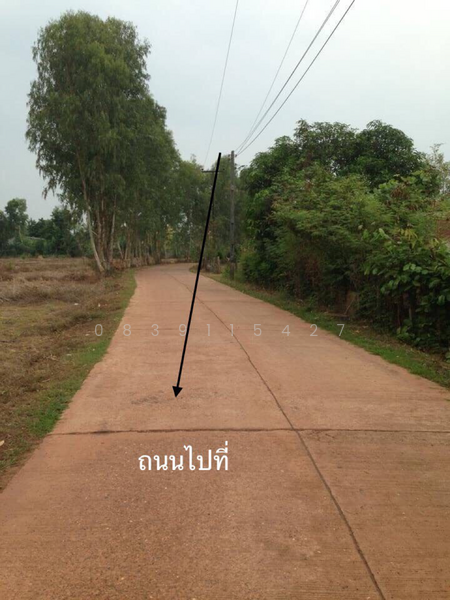 ขายที่ดิน 2 แปลง อยู่ อ. เมืองหนองคาย ใกล้ถนนไทยลาว มิตรภาพ
