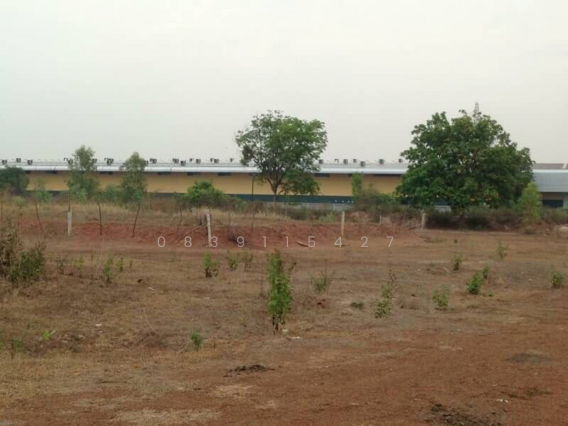 ขายที่ดิน 2 แปลง อยู่ อ. เมืองหนองคาย ใกล้ถนนไทยลาว มิตรภาพ