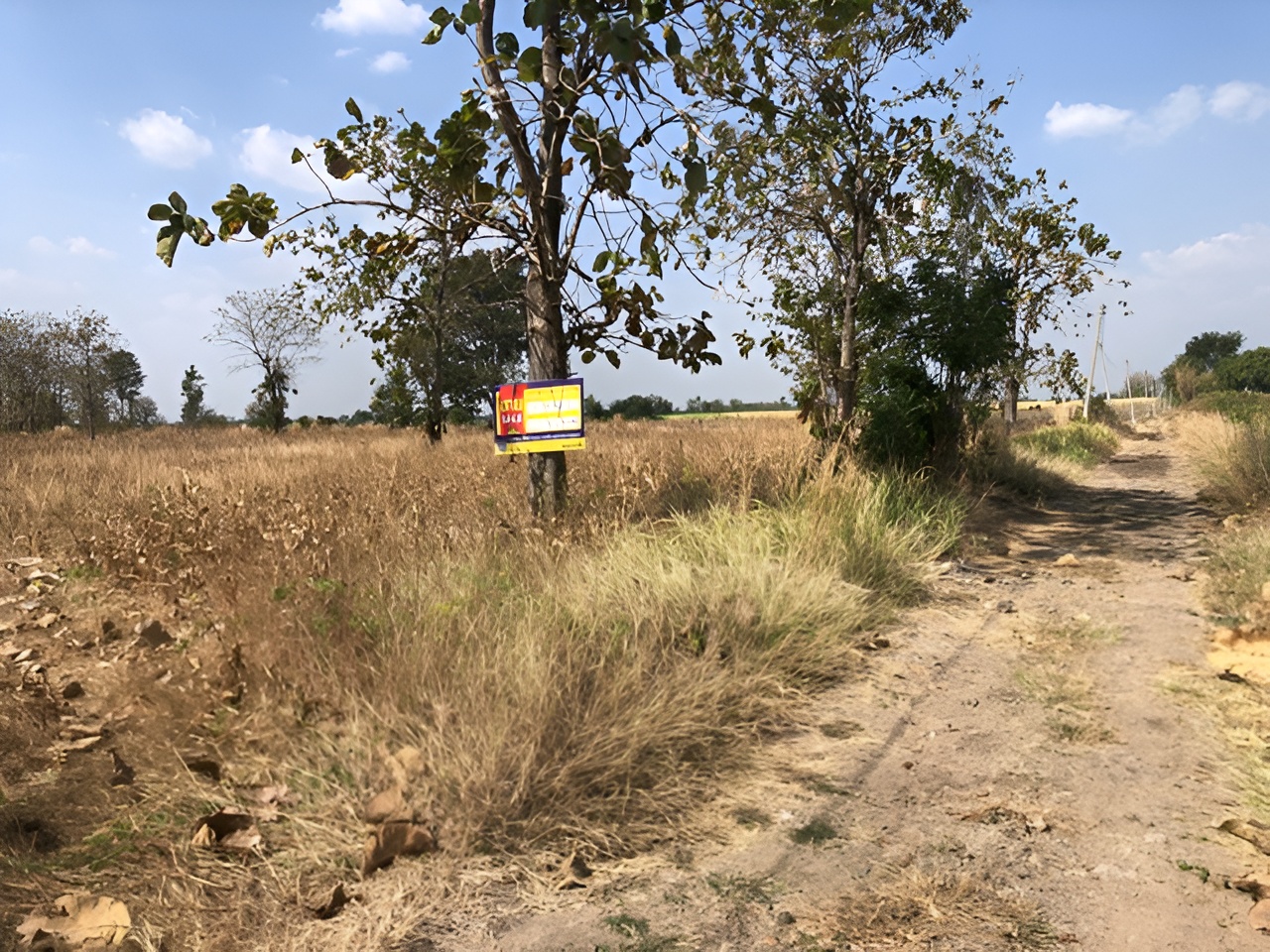 Empty land plot in Karaket Project, Phetchabun Province.