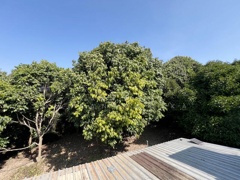 Code: LB160 Hilltop Land for Sale with Panoramic Views, Road Access on 3 Sides – Nang Lae, Chiang Ra, Chiang Rai
