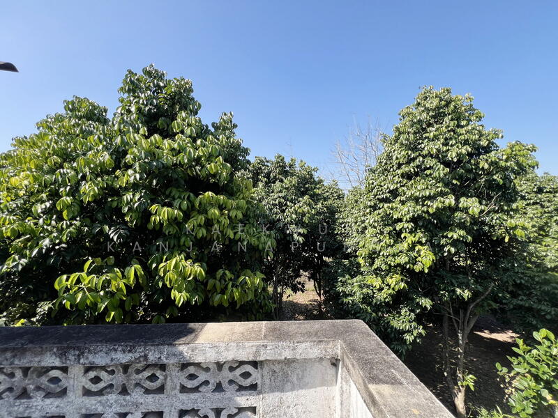 Code: LB160 Hilltop Land for Sale with Panoramic Views, Road Access on 3 Sides – Nang Lae, Chiang Ra, Chiang Rai