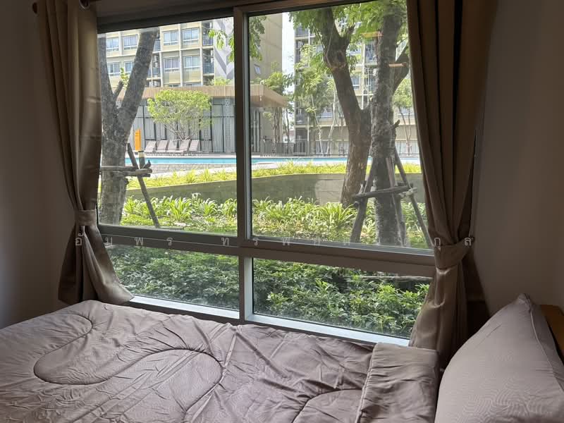 Plum Condo Rangsit Alive, Pathum Thani