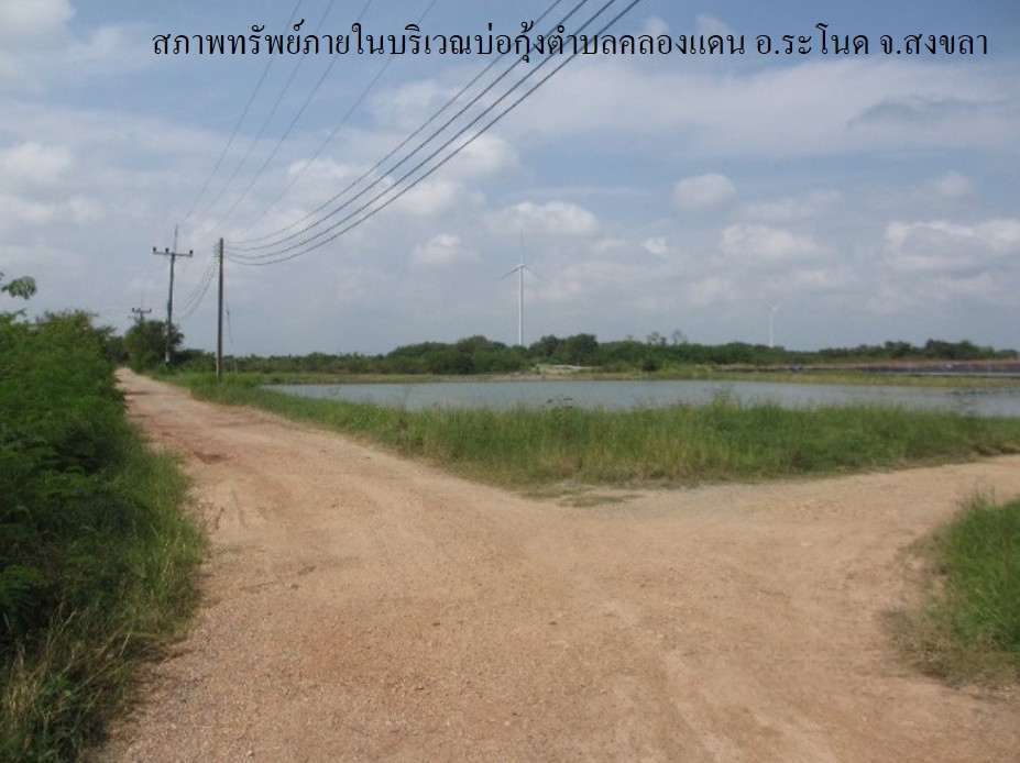 ที่ดินเปล่า โครงการกลุ่มเกษตรกรผู้เลี้ยงสัตว์น้ำ คลองแดน สงขลา
