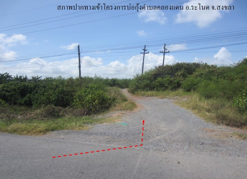 ที่ดินเปล่า โครงการกลุ่มเกษตรกรผู้เลี้ยงสัตว์น้ำ คลองแดน สงขลา