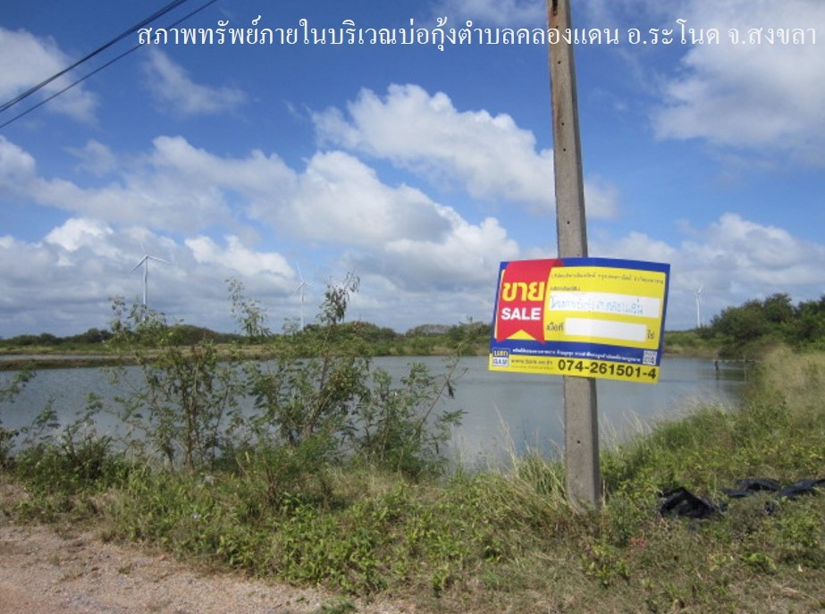 ที่ดินเปล่า โครงการกลุ่มเกษตรกรผู้เลี้ยงสัตว์น้ำ คลองแดน สงขลา