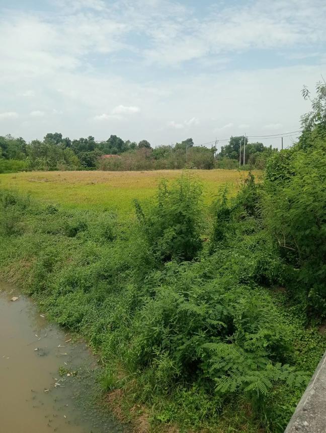 Vacant Land in Nong Kham, Bangkok