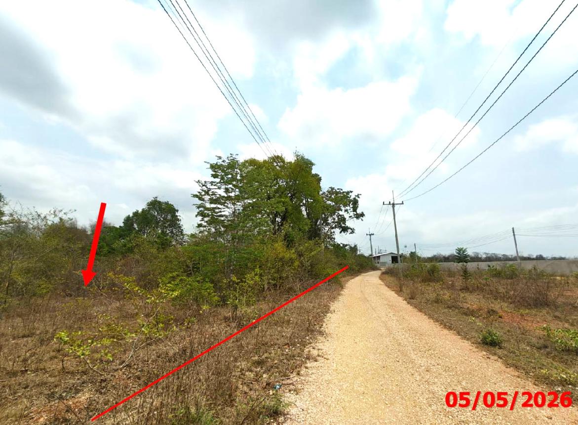 Vacant land, Arunrungsawan House, Lamphun District, Lamphun Province