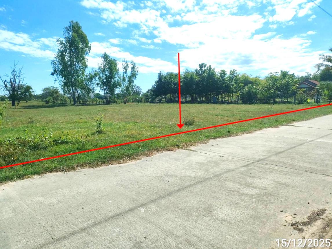ที่ดินว่างเปล่า พยัคฆภูมิพิสัย จังหวัดมหาสารคาม