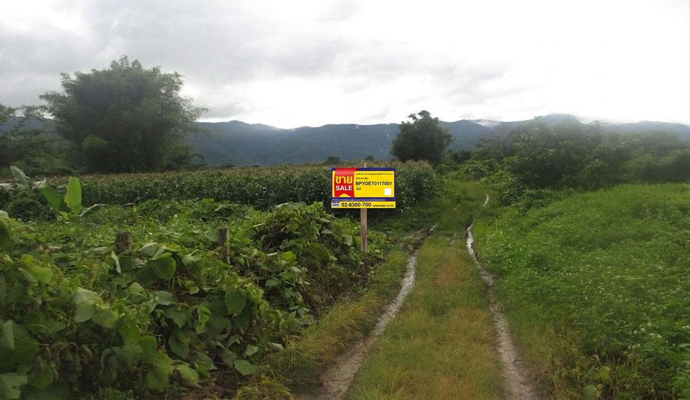 Land for Sale in Phayao City