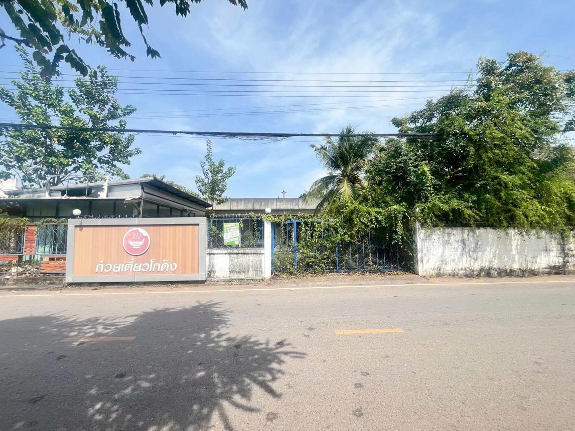 ที่ดินว่างเปล่าในขอนแก่น ชุมแพ