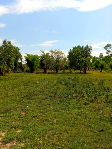 ที่ดินว่างเปล่าบึงกาฬ, Bueng Kan
