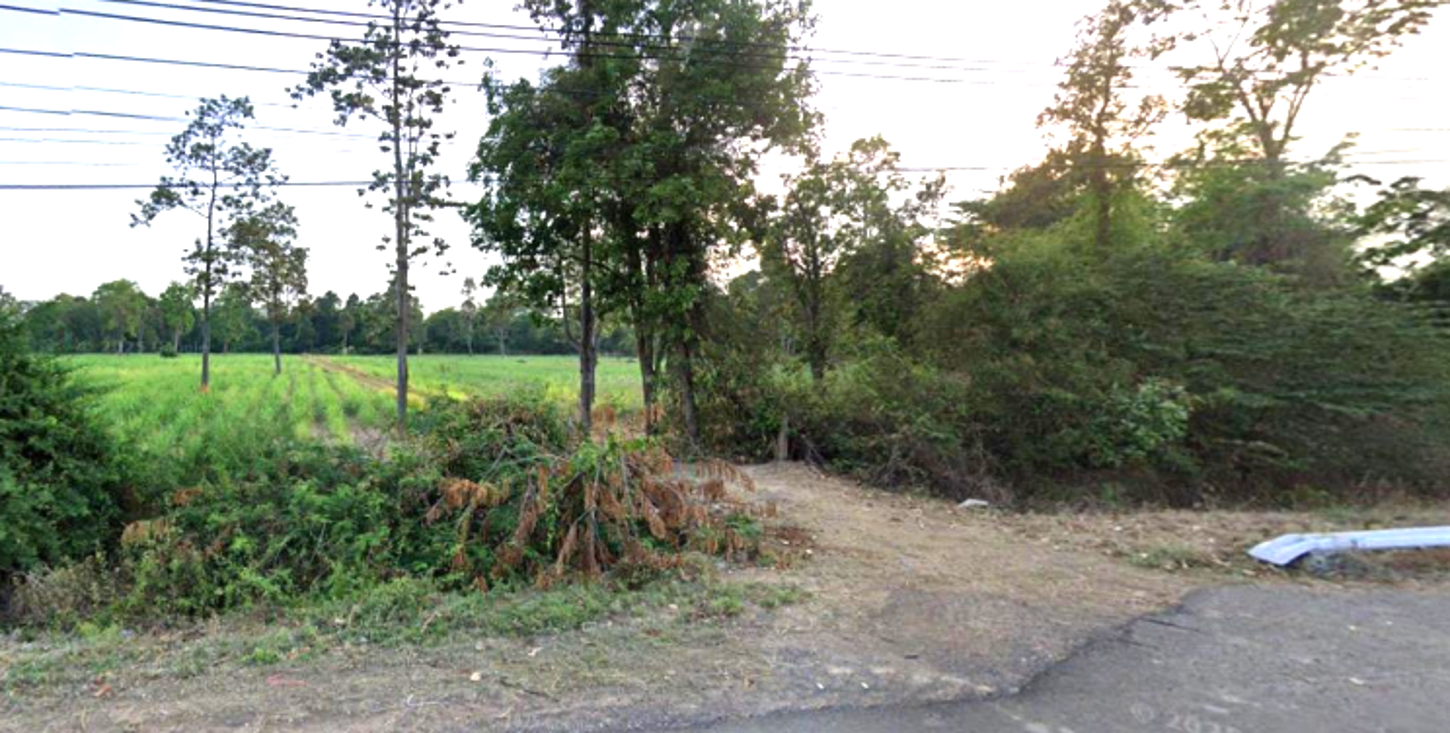 Vacant land, Surin Province