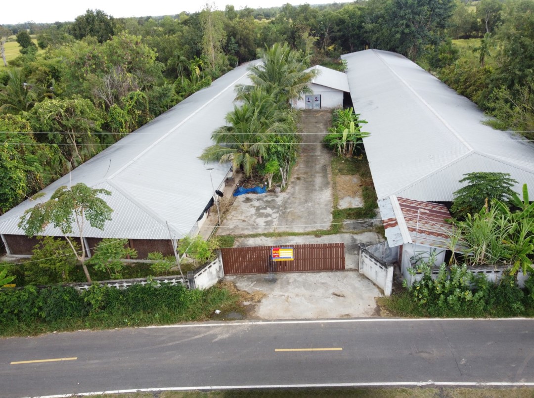 Large Pig Farm Building