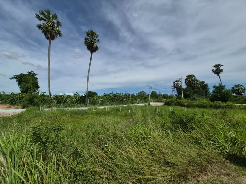 ที่ดินพานทอง ชลบุรี, Chon Buri (Pattaya)