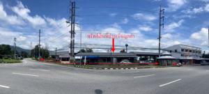 ที่ดินพร้อมสิ่งปลูกสร้าง บ้านโฮ่ง จังหวัดลำพูน