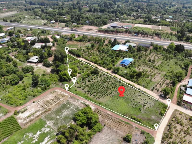 ที่ดินดงขี้เหล็ก ปราจีนบุรี, Prachin Buri