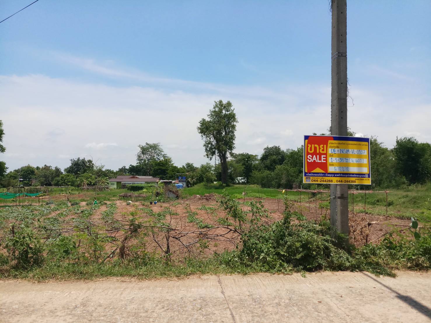 Empty Land in Nakhon Ratchasima