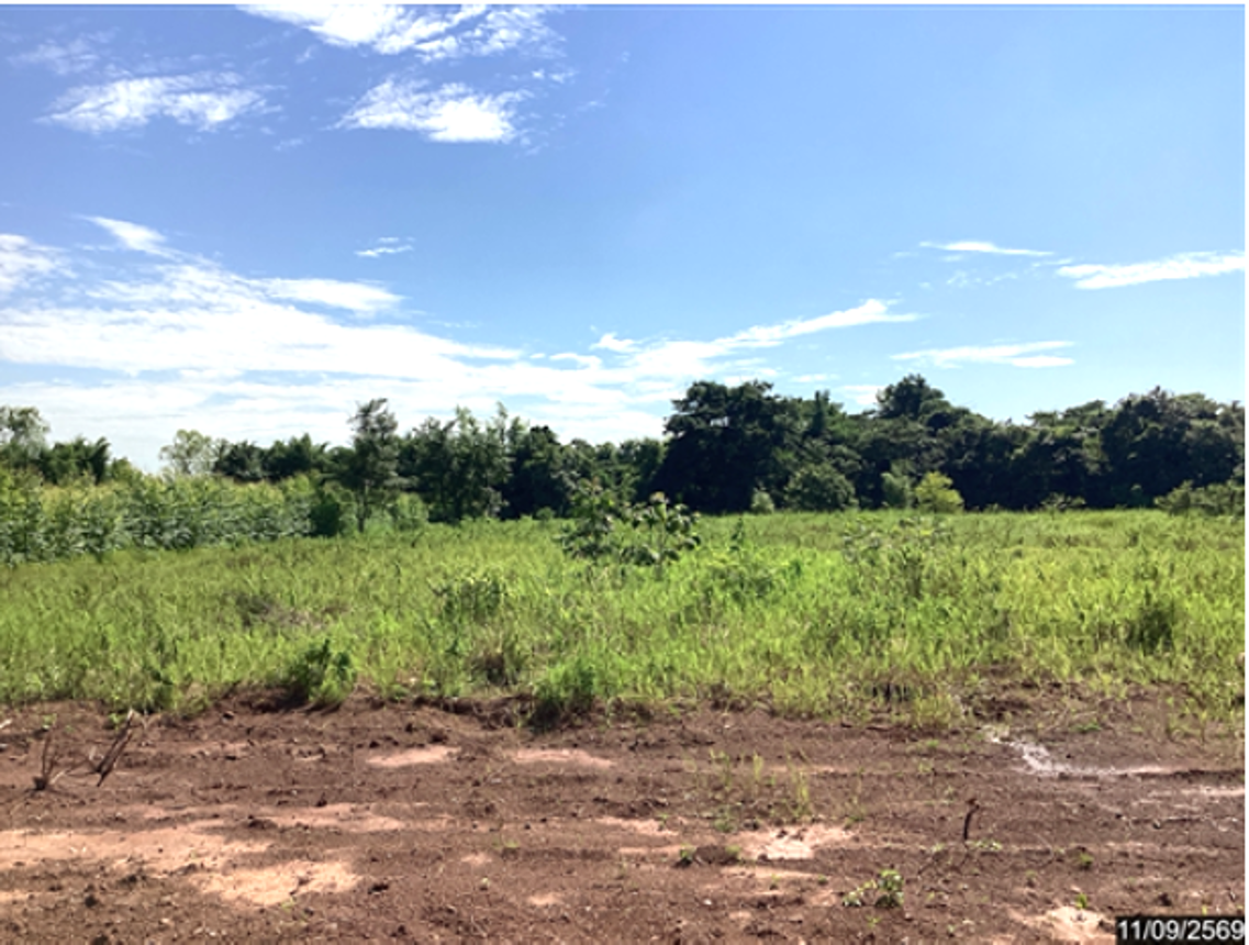 Vacant Land for Sale in Van Nar New Town Sakon Nakhon Province