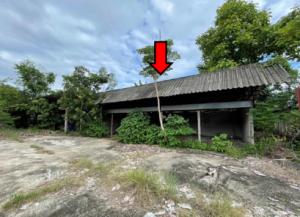 ที่ดินพร้อมสิ่งปลูกสร้าง สันป่าตอง จังหวัดเชียงใหม่