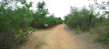 Empty land, Sakthong Property Farm Project, Lamphun