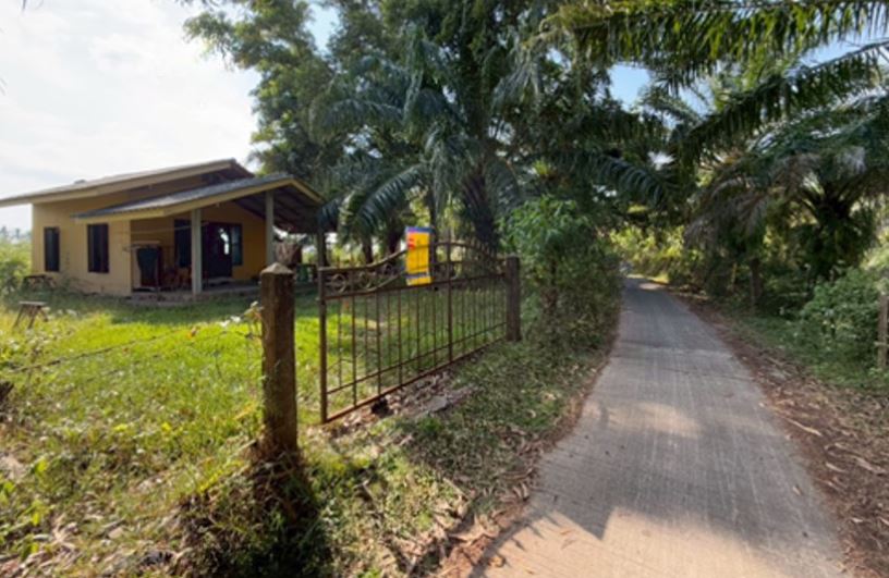 บ้านพักอาศัยชั้นเดียว พร้อมสวนปาล์ม ตรัง