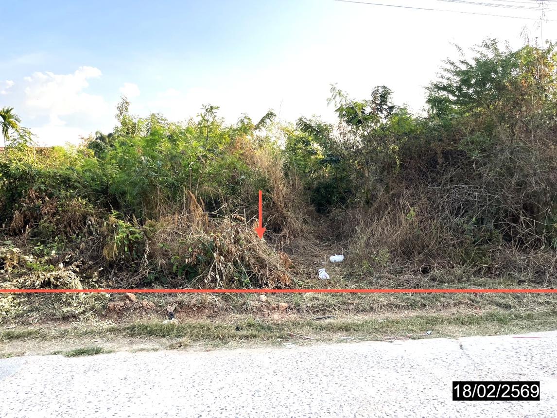 Vacant Land in Nong Kung Si, Kalasin