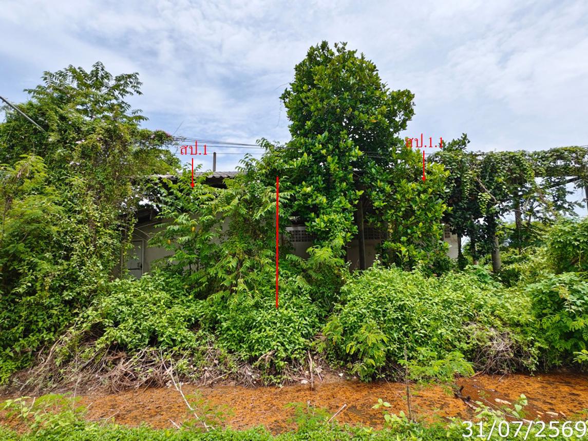 Multi-Purpose Building, Tha Mai, Chanthaburi