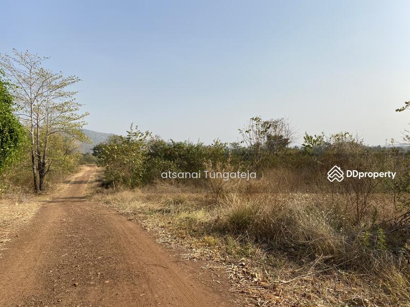 ขายที่ดิน 44 ไร่ 1 งาน 71 ตร.ว. ต.บ้านยาง อ.วัดโบสถ์ จ.พิษณุโลก, Phitsanulok