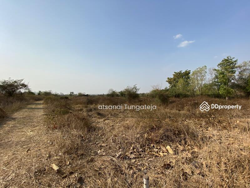 ขายที่ดิน 44 ไร่ 1 งาน 71 ตร.ว. ต.บ้านยาง อ.วัดโบสถ์ จ.พิษณุโลก, Phitsanulok