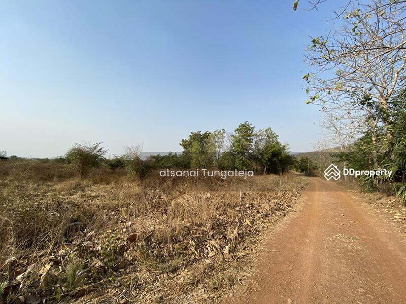 ขายที่ดิน 44 ไร่ 1 งาน 71 ตร.ว. ต.บ้านยาง อ.วัดโบสถ์ จ.พิษณุโลก, Phitsanulok
