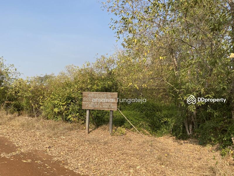 ขายที่ดิน 44 ไร่ 1 งาน 71 ตร.ว. ต.บ้านยาง อ.วัดโบสถ์ จ.พิษณุโลก, Phitsanulok