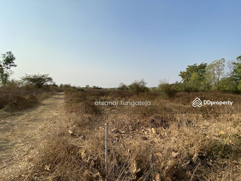 ขายที่ดิน 44 ไร่ 1 งาน 71 ตร.ว. ต.บ้านยาง อ.วัดโบสถ์ จ.พิษณุโลก, Phitsanulok