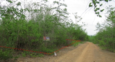 Empty land, Sakthong Property Farm Project, Lamphun