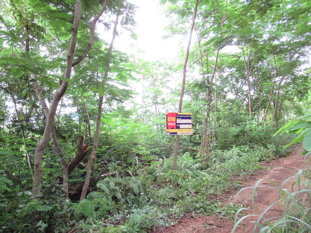 Empty land, Misty Hill project, Chiang Mai.