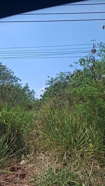 ที่ดินโชคชัย นครราชสีมา, Nakhon Ratchasima