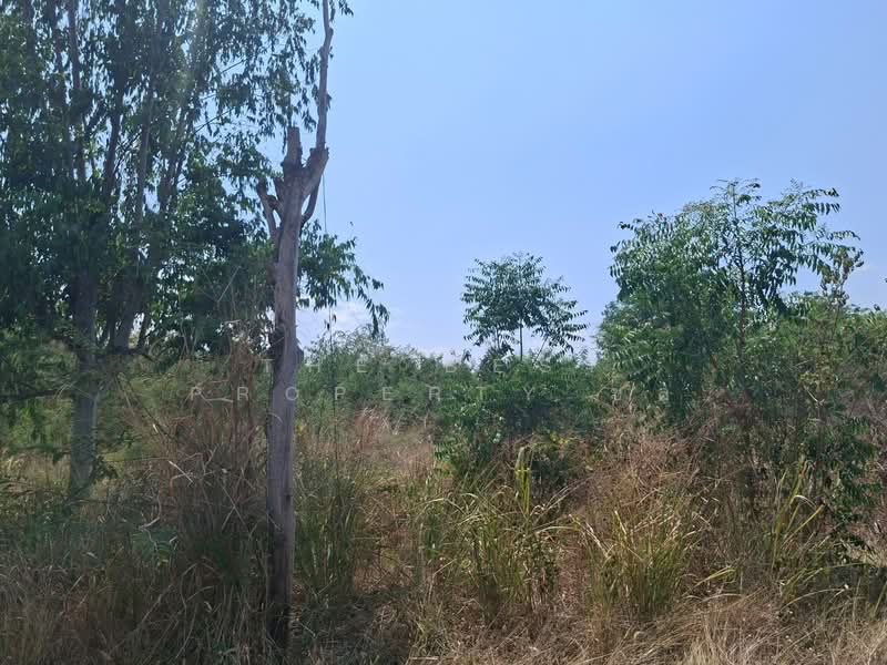 ที่ดินโชคชัย นครราชสีมา, Nakhon Ratchasima