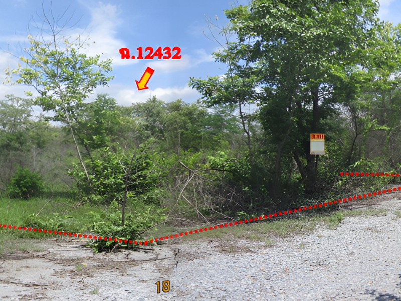 Empty land at Siphoonlee Project, Nakhon Ratchasima