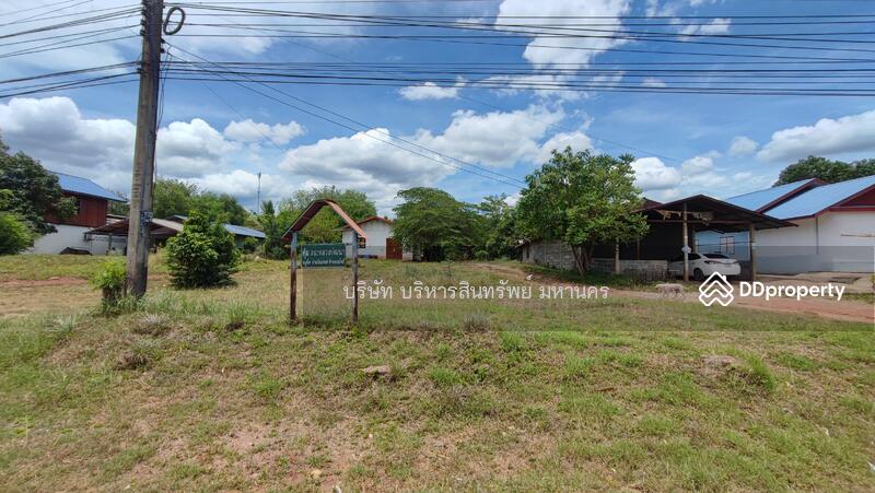 Land 156.3 Sqw. Bo Pho Nakhon Thai Phitsanulok., Phitsanulok