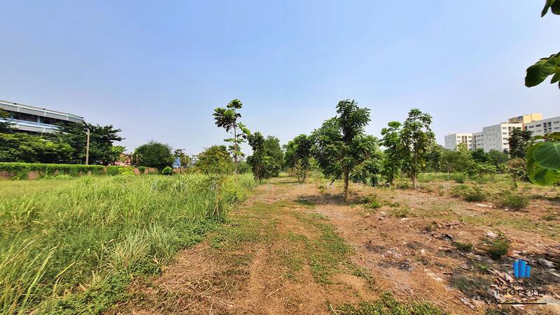 Land for sale, 16-2-51 rai, on Seri Thai Road, near NIDA, Bueng Kum District, Bangkok, Bangkok