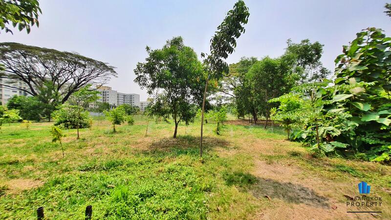 Land for sale, 16-2-51 rai, on Seri Thai Road, near NIDA, Bueng Kum District, Bangkok, Bangkok