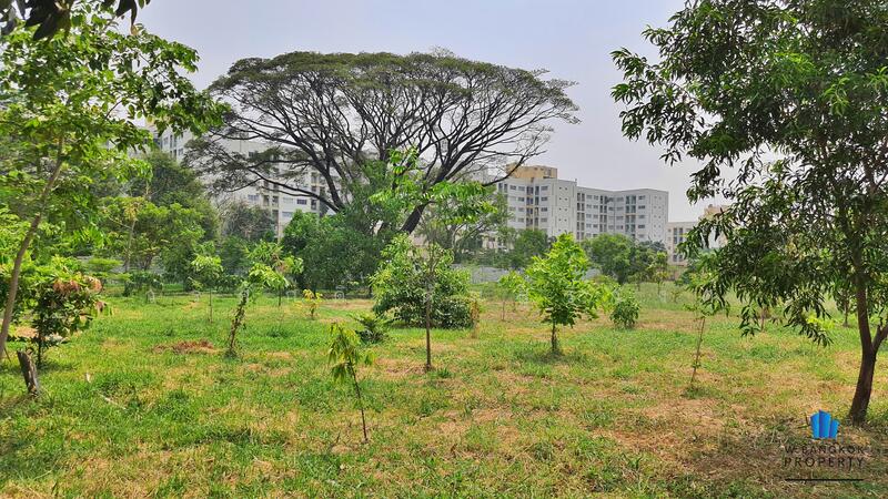Land for sale, 16-2-51 rai, on Seri Thai Road, near NIDA, Bueng Kum District, Bangkok, Bangkok