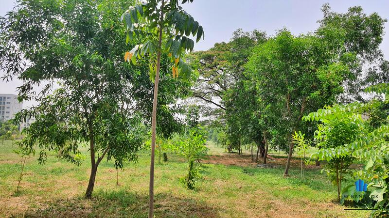 Land for sale, 16-2-51 rai, on Seri Thai Road, near NIDA, Bueng Kum District, Bangkok, Bangkok