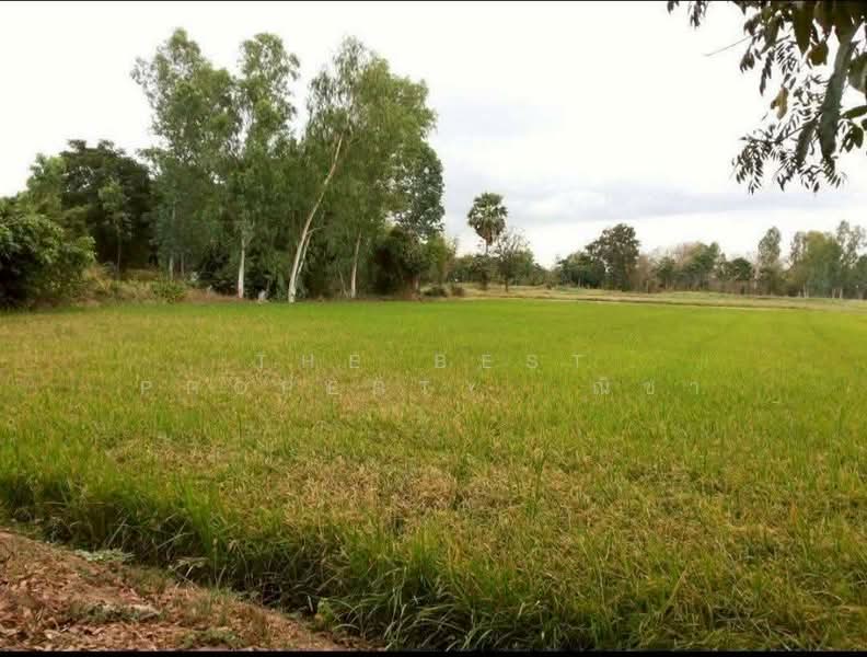 ที่ดินมะขามสูง พิษณุโลก, Phitsanulok