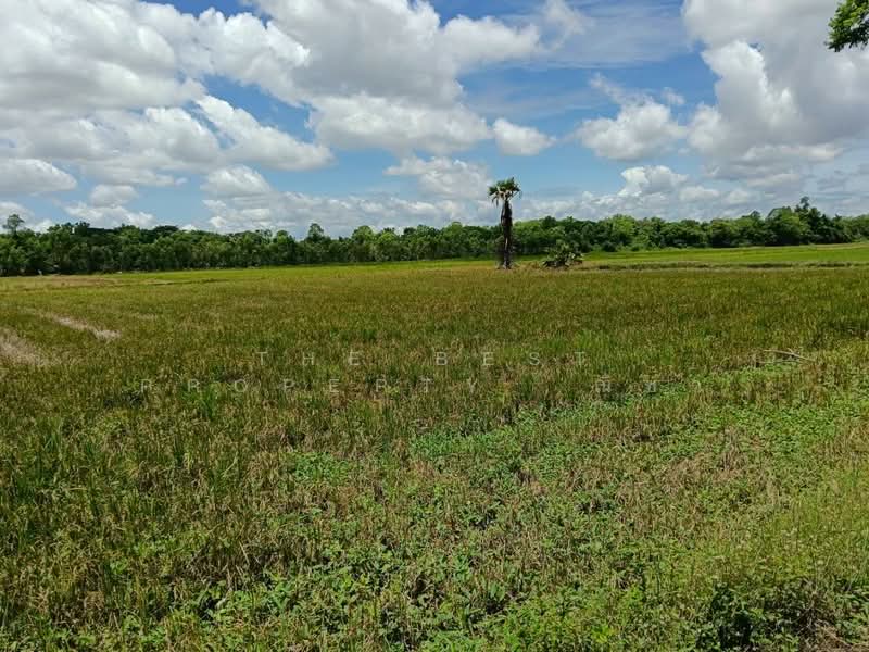 ที่ดินมะขามสูง พิษณุโลก, Phitsanulok