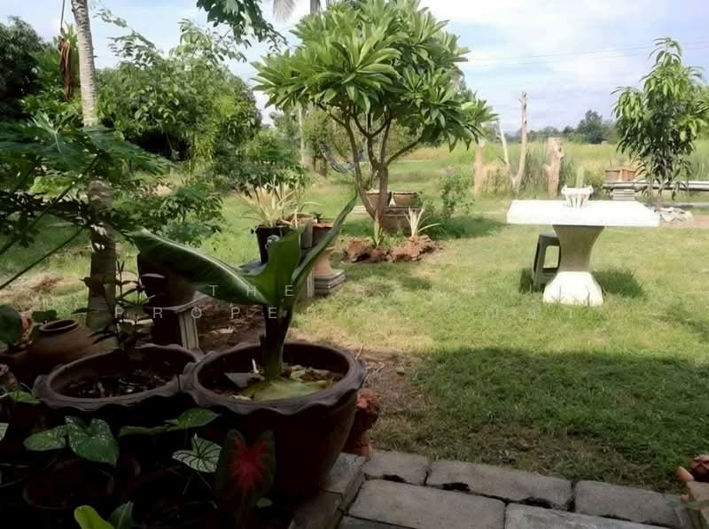 ที่ดินมะขามสูง พิษณุโลก, Phitsanulok