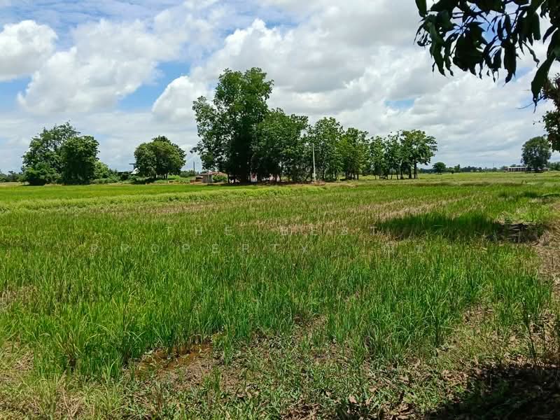 ที่ดินมะขามสูง พิษณุโลก, Phitsanulok