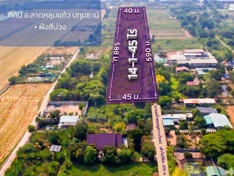 ที่ดินลาดหลุมแก้ว ปทุมธานี, Pathum Thani