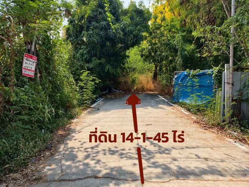 ที่ดินลาดหลุมแก้ว ปทุมธานี, Pathum Thani
