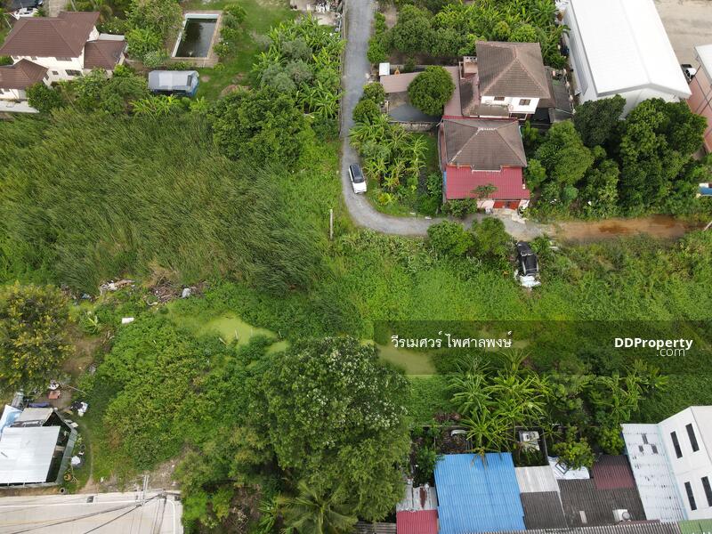 ขาย ที่ดินบางใหญ่ ซอยวัดลาดปลาดุก ใกล้เทศบาลเมืองบางรักพัฒนา เนื้อที่ 128 ตร.วา, Nonthaburi