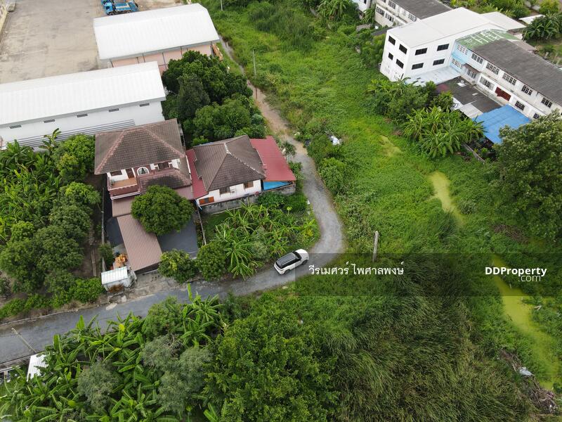 ขาย ที่ดินบางใหญ่ ซอยวัดลาดปลาดุก ใกล้เทศบาลเมืองบางรักพัฒนา เนื้อที่ 128 ตร.วา, Nonthaburi